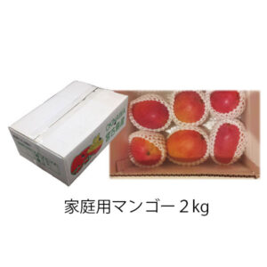 家庭用マンゴー2kg
