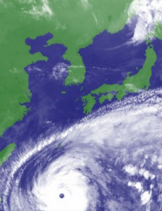 taifu19-2